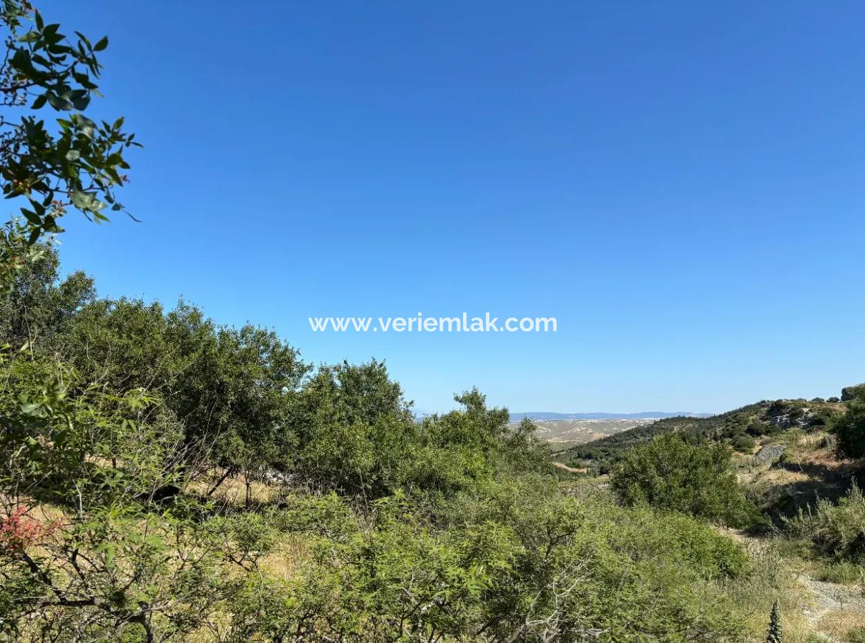 New Zoning Past In Doğanbey Atatürk District, Villa Zoned 311 M² Parcel