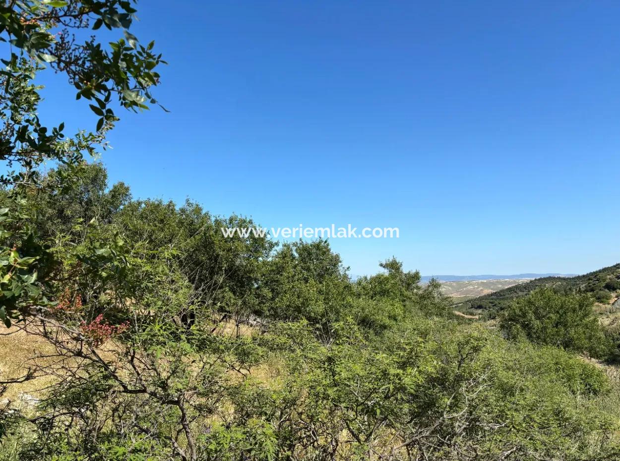 New Zoning Past In Doğanbey Atatürk District, Villa Zoned 311 M² Parcel