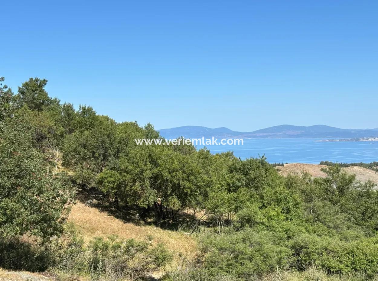 New Zoning Past In Doğanbey Atatürk District, Villa Zoned 311 M² Parcel