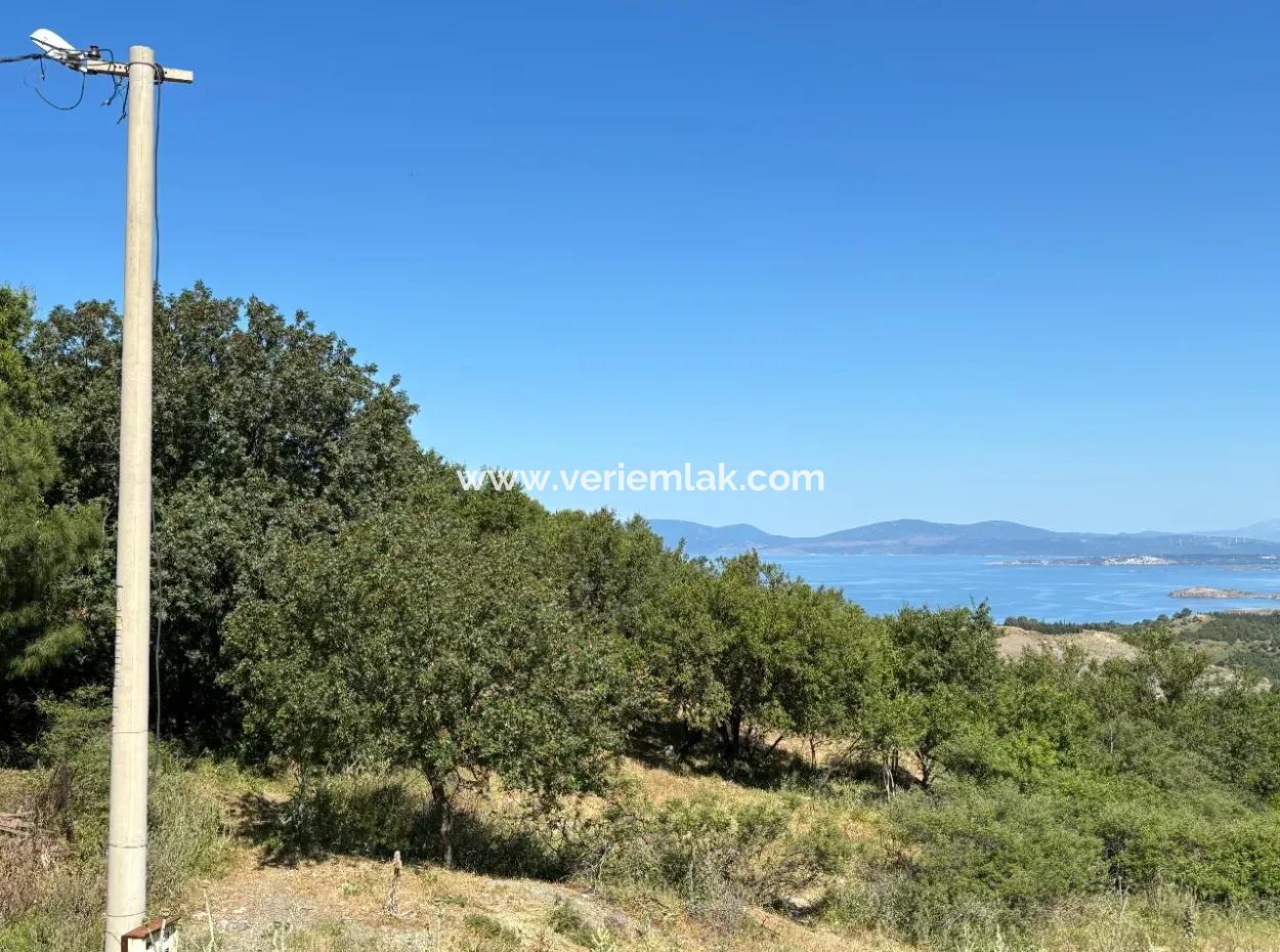 New Zoning Past In Doğanbey Atatürk District, Villa Zoned 311 M² Parcel