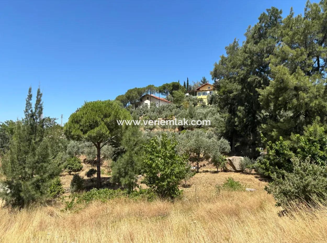 Investment Villa Zoned Land In Seferihisar Bahçeköy Region!