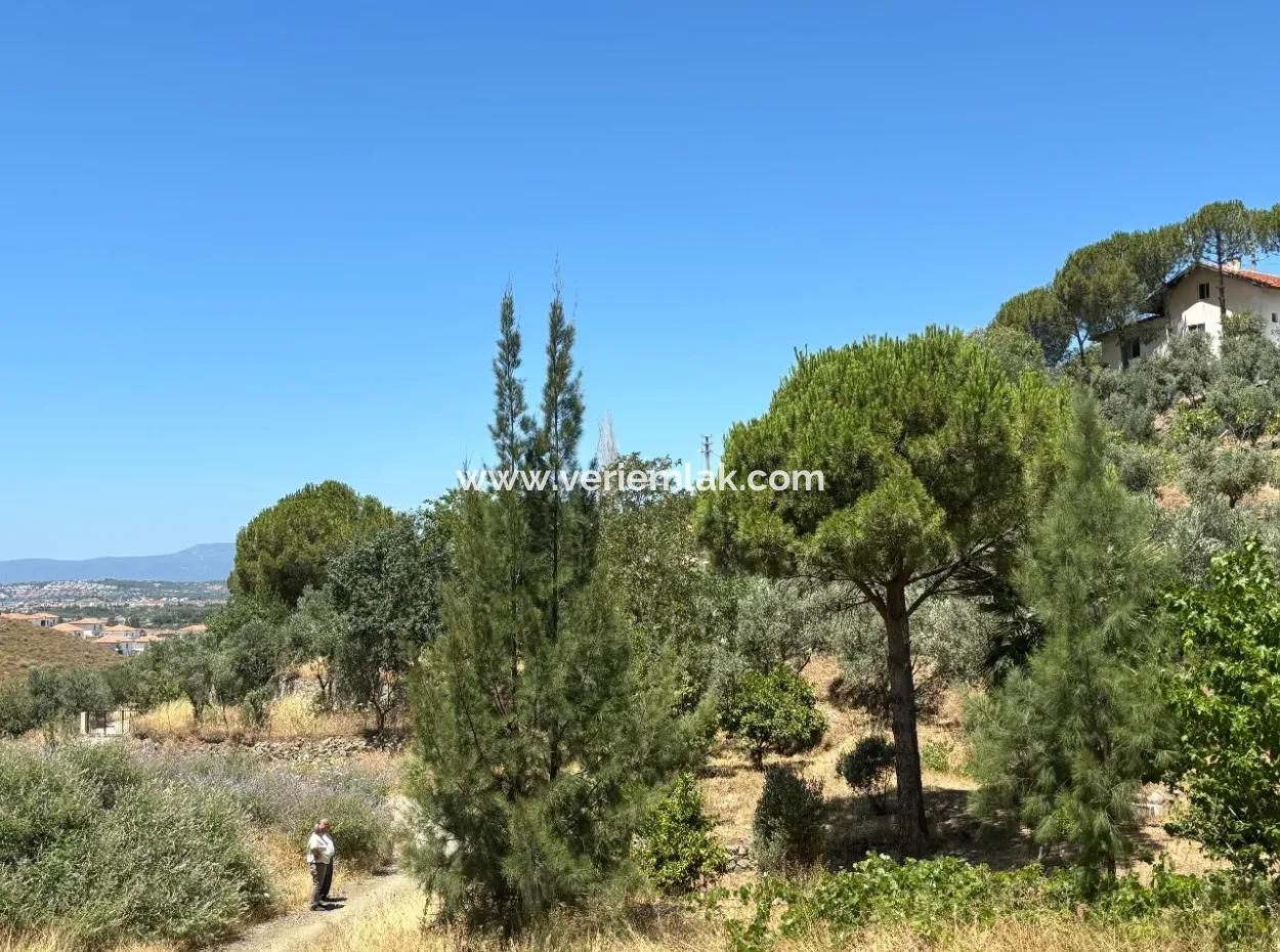 Investment Villa Zoned Land In Seferihisar Bahçeköy Region!