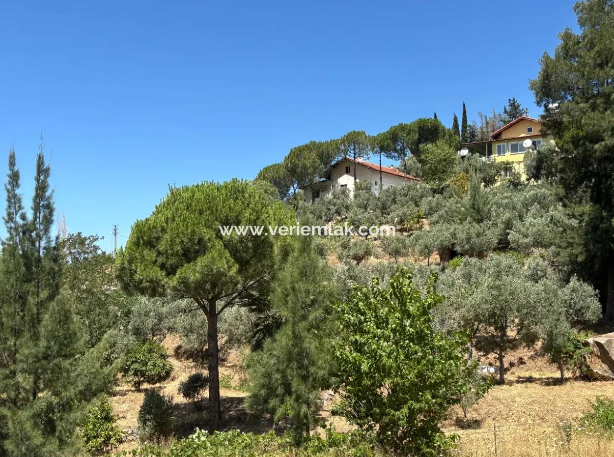 Investment Villa Zoned Land In Seferihisar Bahçeköy Region!