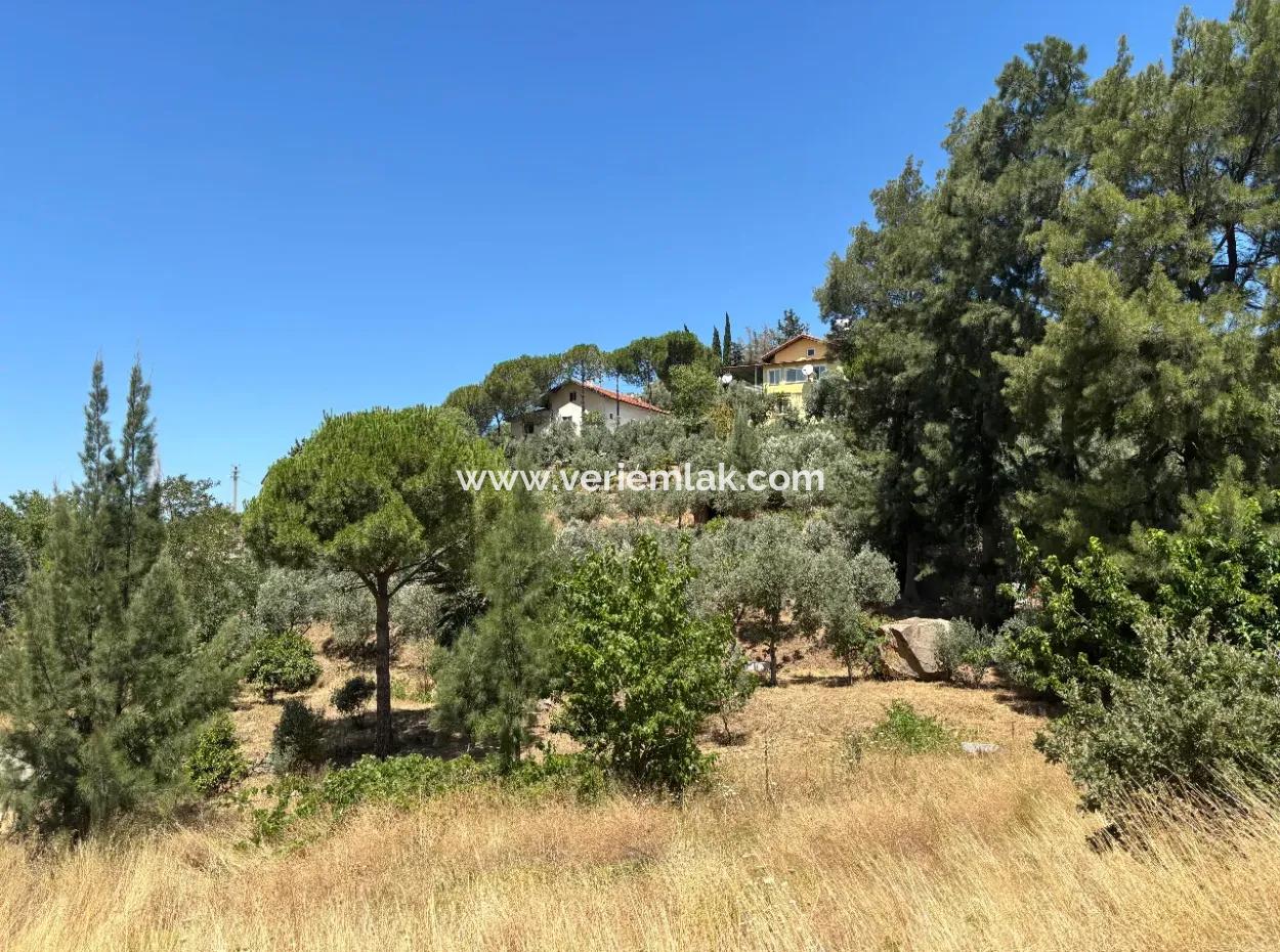 Investment Villa Zoned Land In Seferihisar Bahçeköy Region!