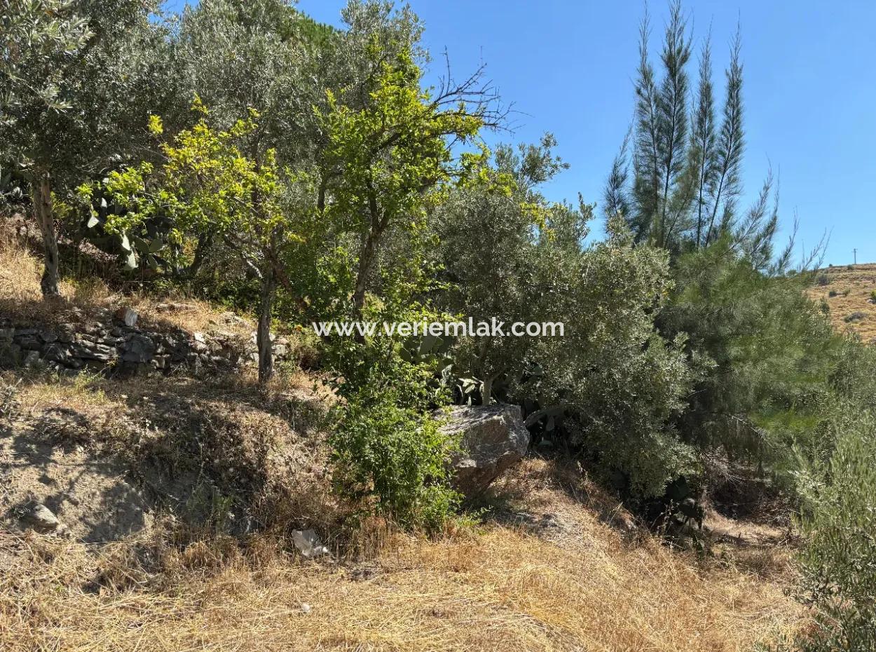 Investment Villa Zoned Land In Seferihisar Bahçeköy Region!