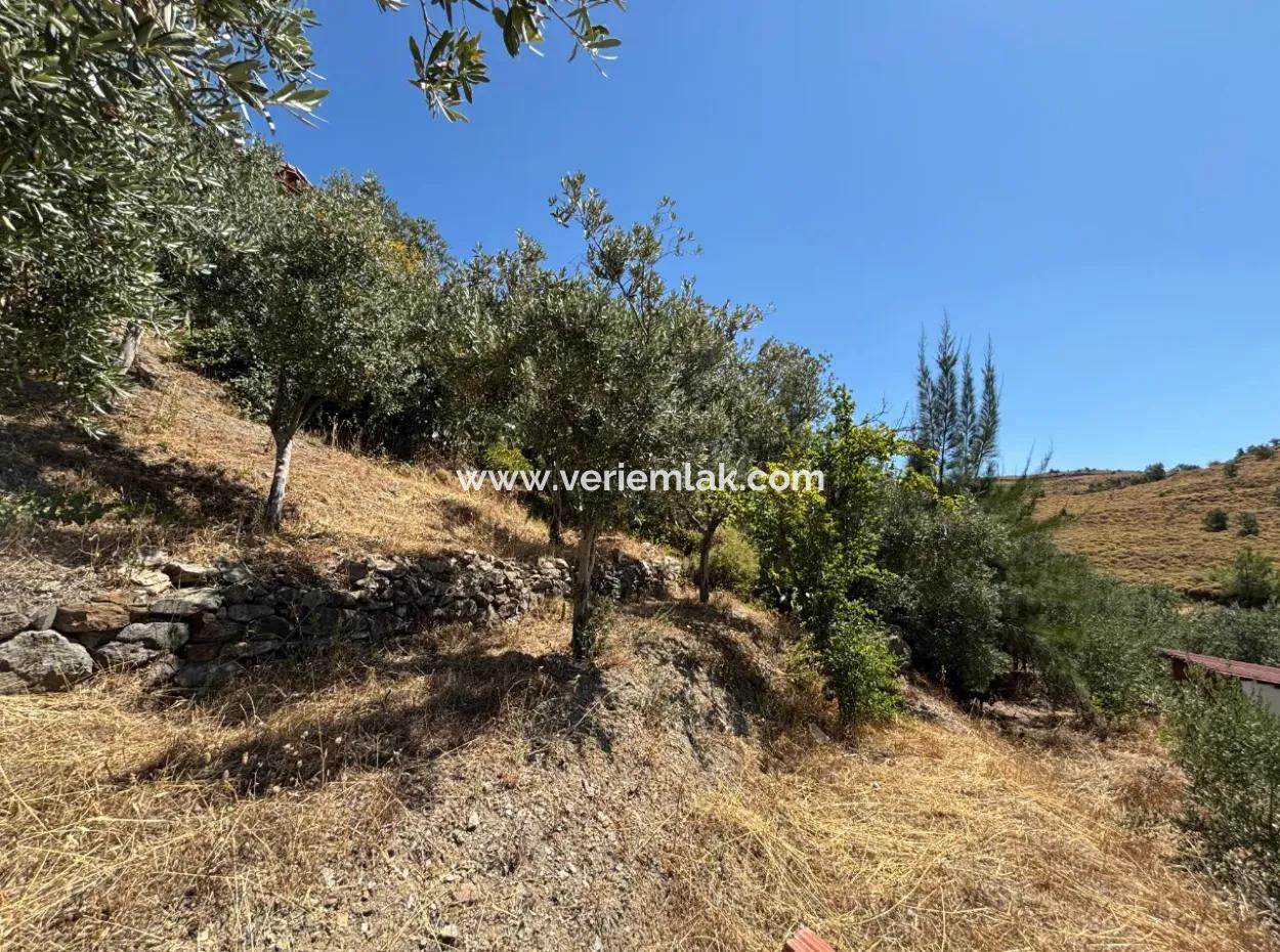 Investment Villa Zoned Land In Seferihisar Bahçeköy Region!