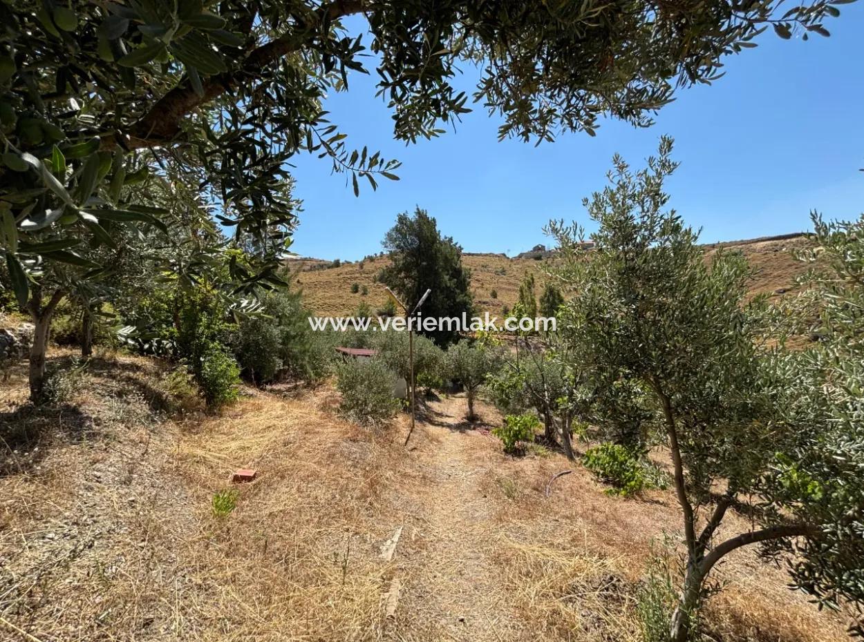 Investment Villa Zoned Land In Seferihisar Bahçeköy Region!