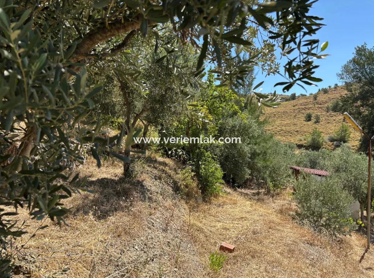 Investment Villa Zoned Land In Seferihisar Bahçeköy Region!