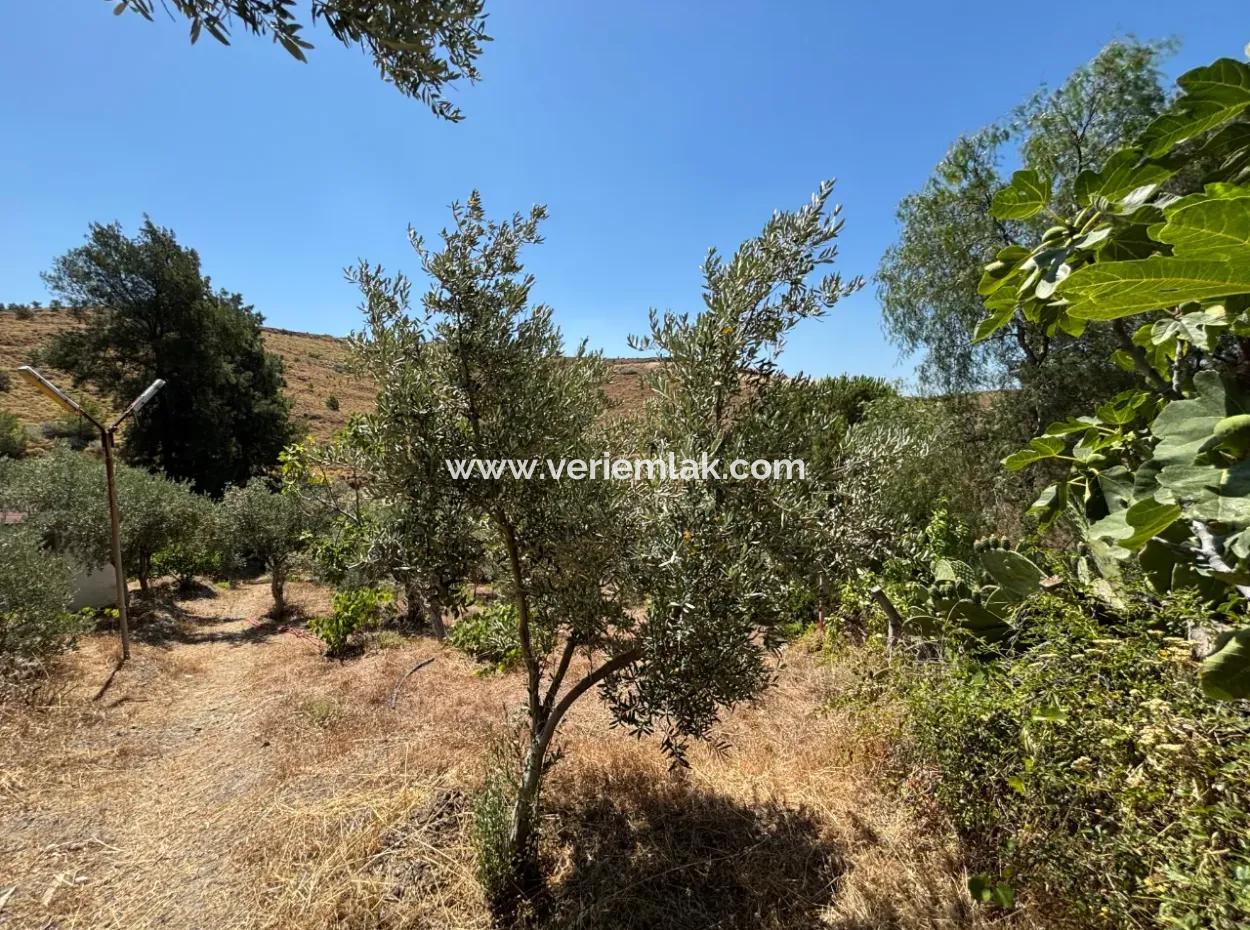 Investment Villa Zoned Land In Seferihisar Bahçeköy Region!