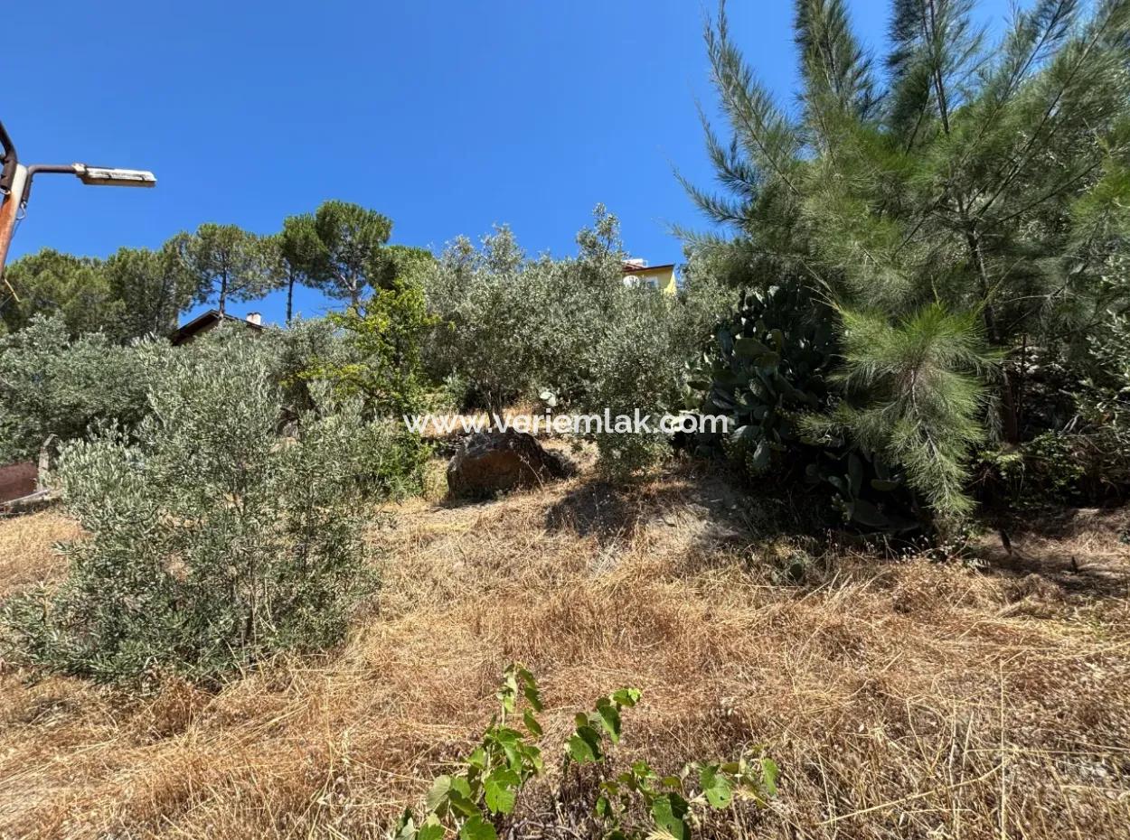 Investment Villa Zoned Land In Seferihisar Bahçeköy Region!