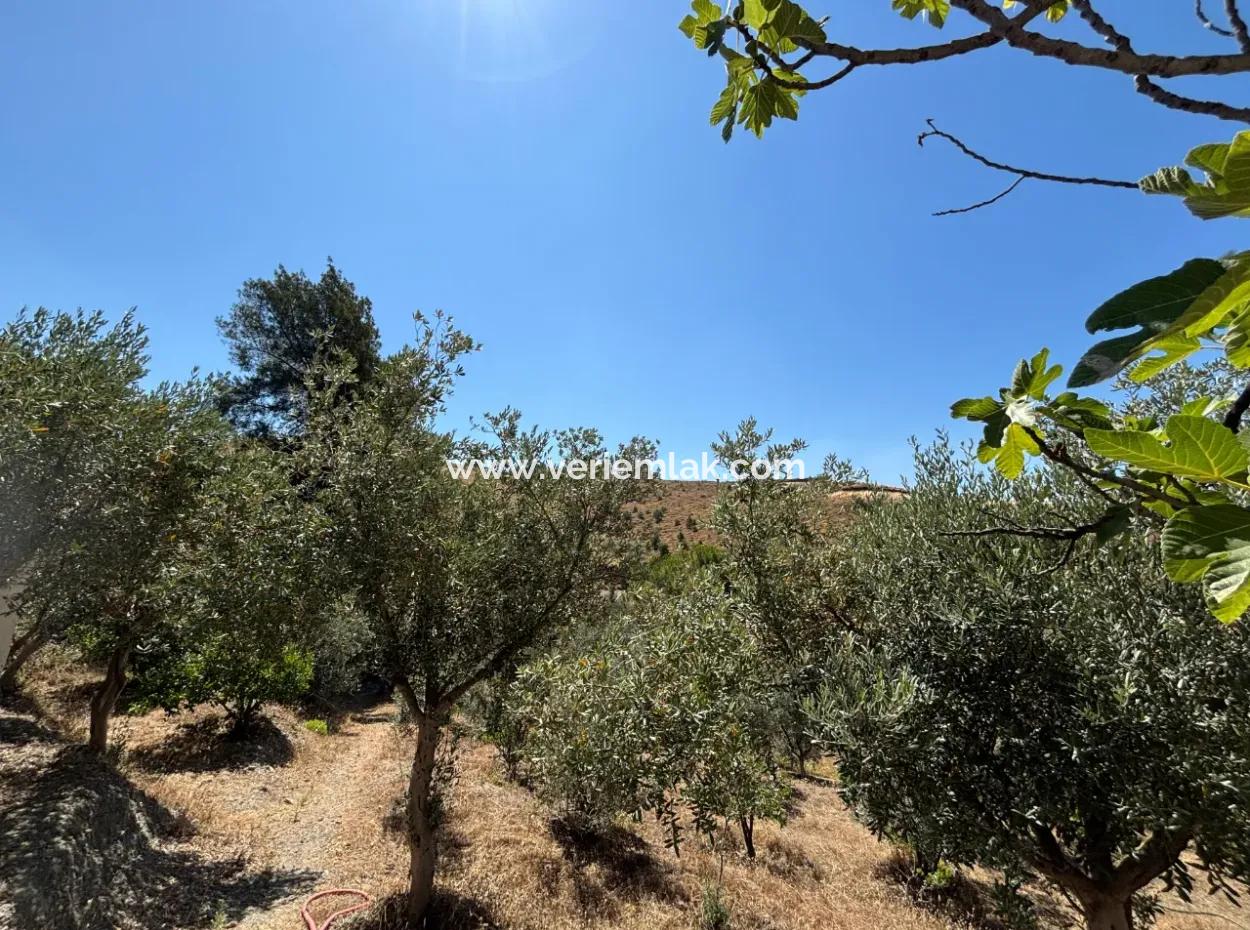 Investment Villa Zoned Land In Seferihisar Bahçeköy Region!