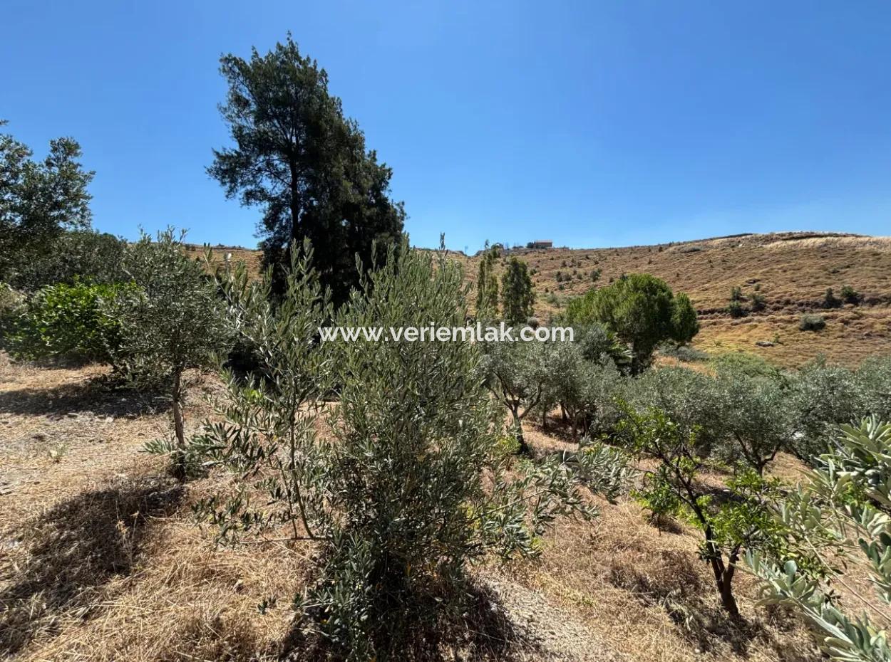 Investment Villa Zoned Land In Seferihisar Bahçeköy Region!