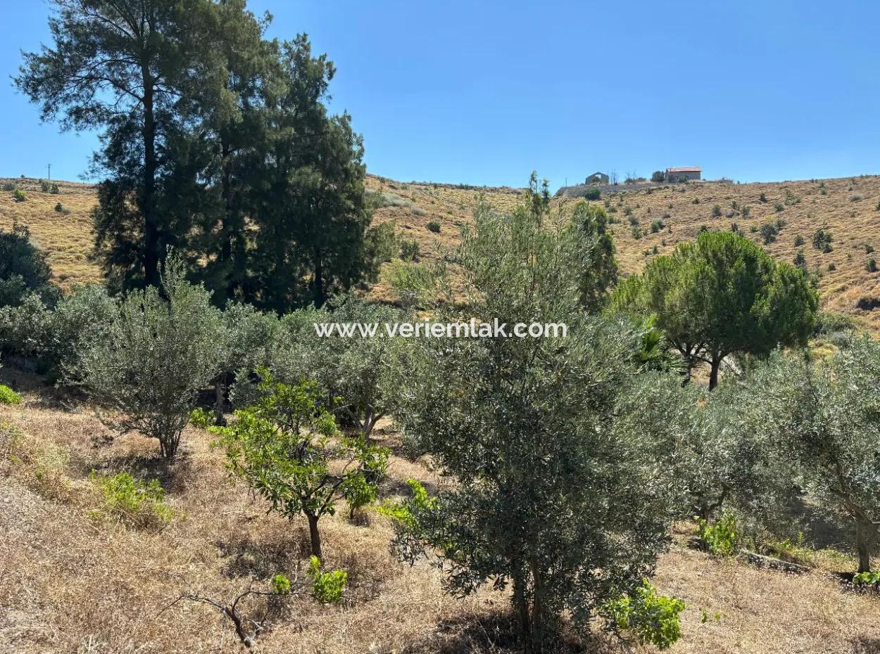 Investment Villa Zoned Land In Seferihisar Bahçeköy Region!