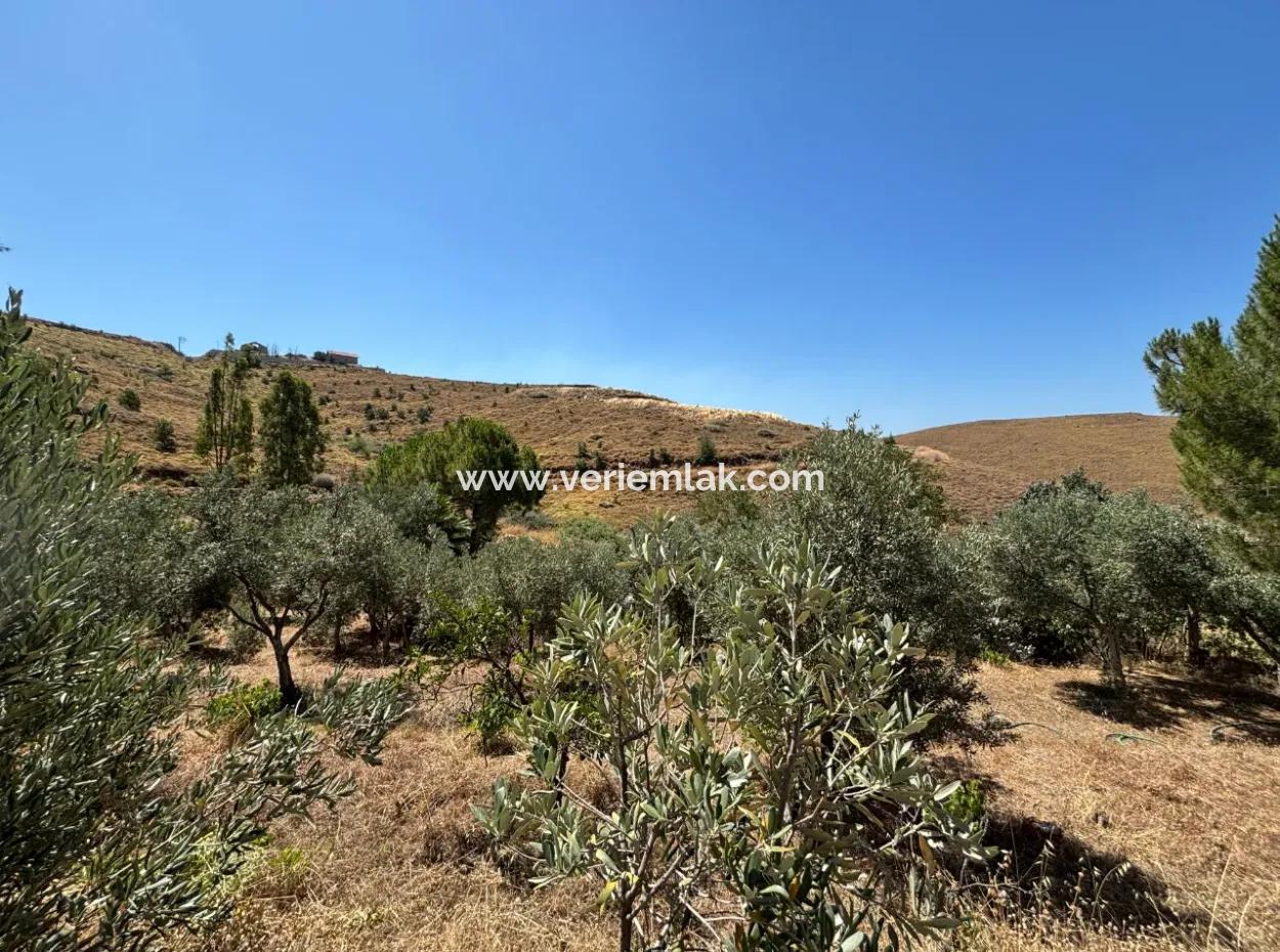 Investment Villa Zoned Land In Seferihisar Bahçeköy Region!