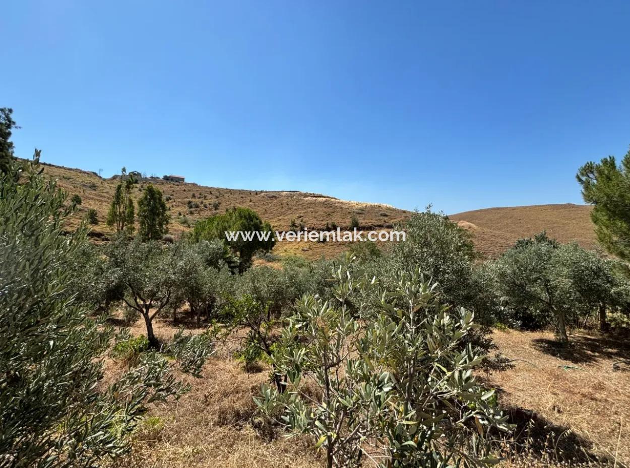 Investment Villa Zoned Land In Seferihisar Bahçeköy Region!