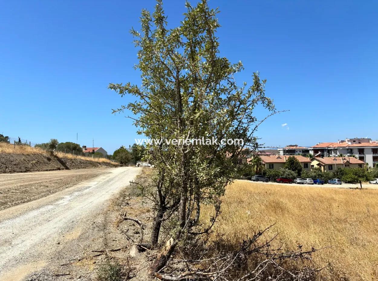 Land For Sale In Seferihisar Çolakibrahimbey Neighborhood Suitable For Horizontal Architecture And Suitable For Villa Construction