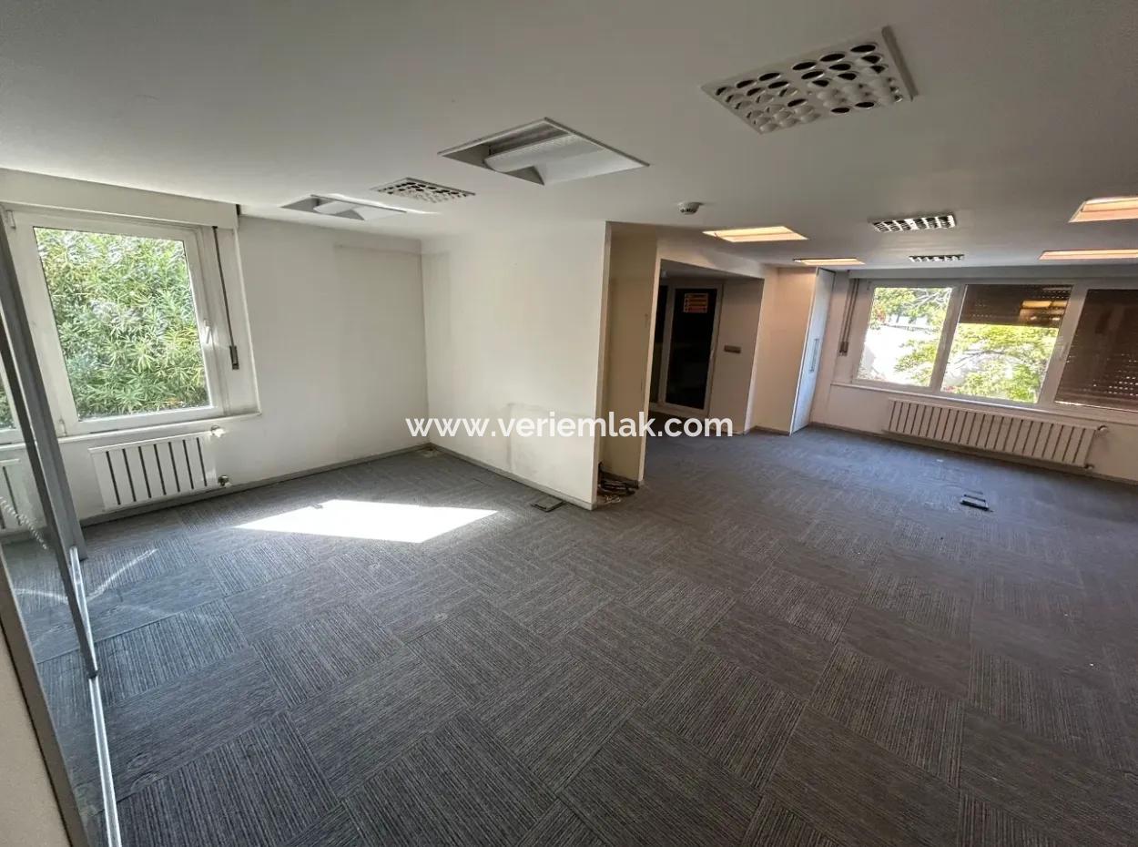250 M² Prestigious Workplace For Rent On Alsancak Vasif Çinar Boulevard