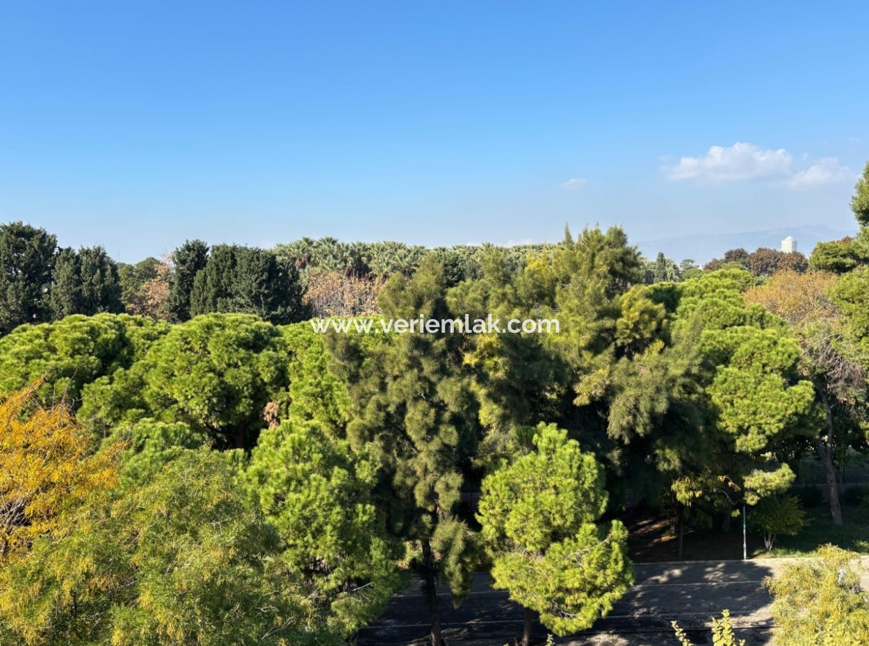 3 1 Furnished Flat For Sale With Fairfront Without Masra In Alsancak Kahramanlar!