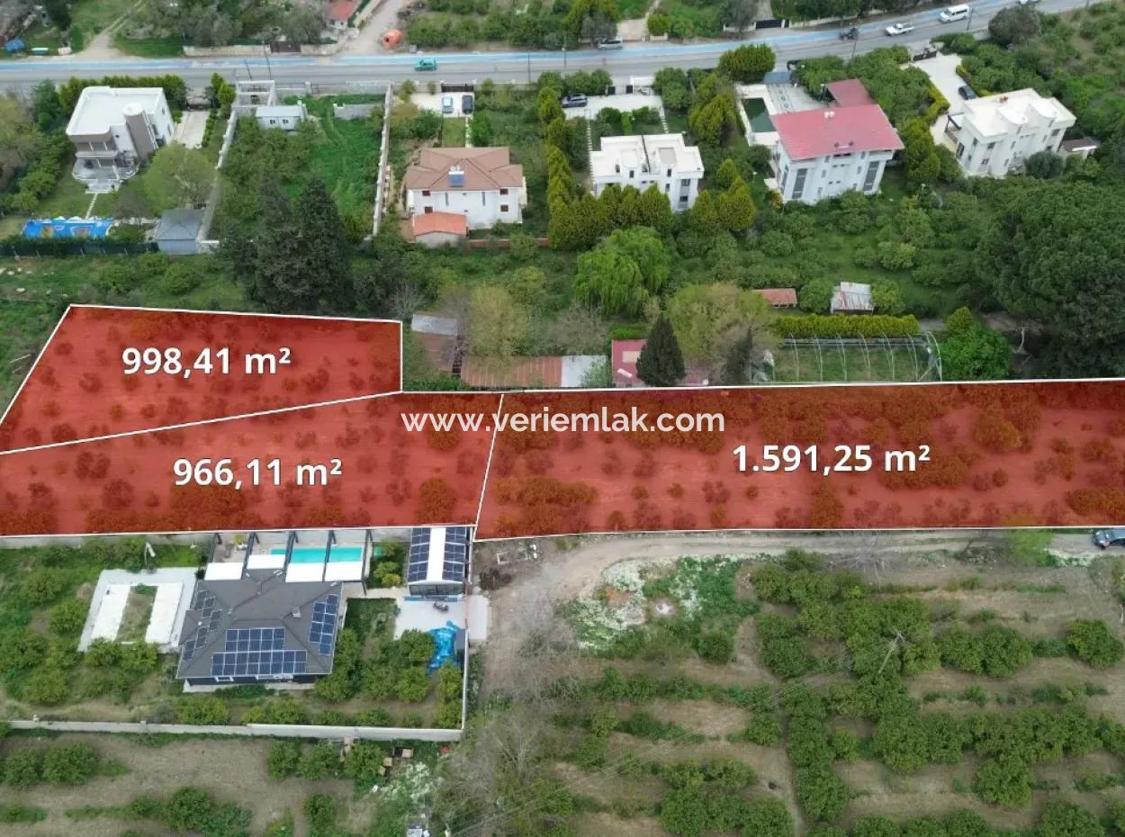 3 Separate Title Deeds In Sığacık From Veri Naranciye Garden For Sale!