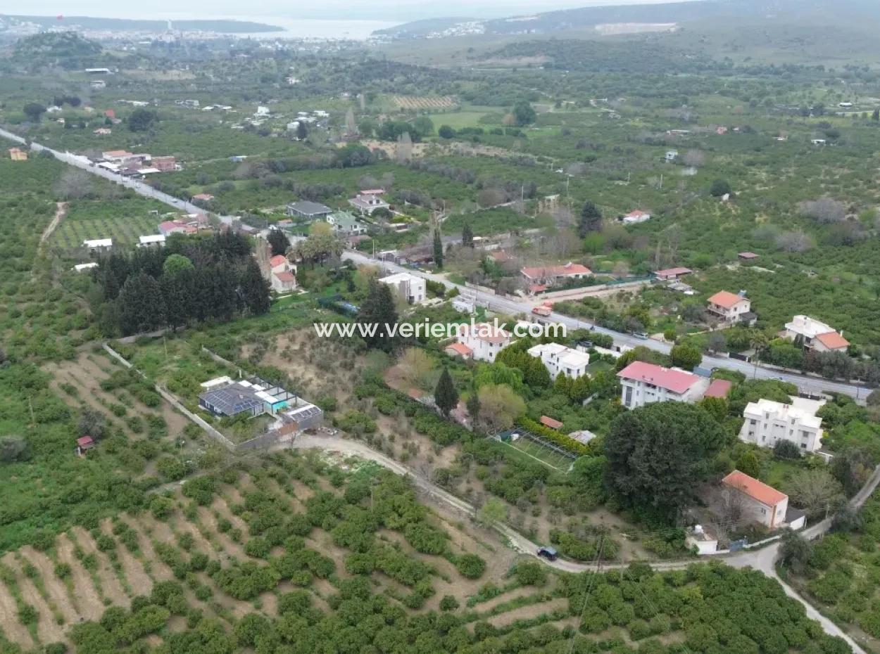 3 Separate Title Deeds In Sığacık From Veri Naranciye Garden For Sale!