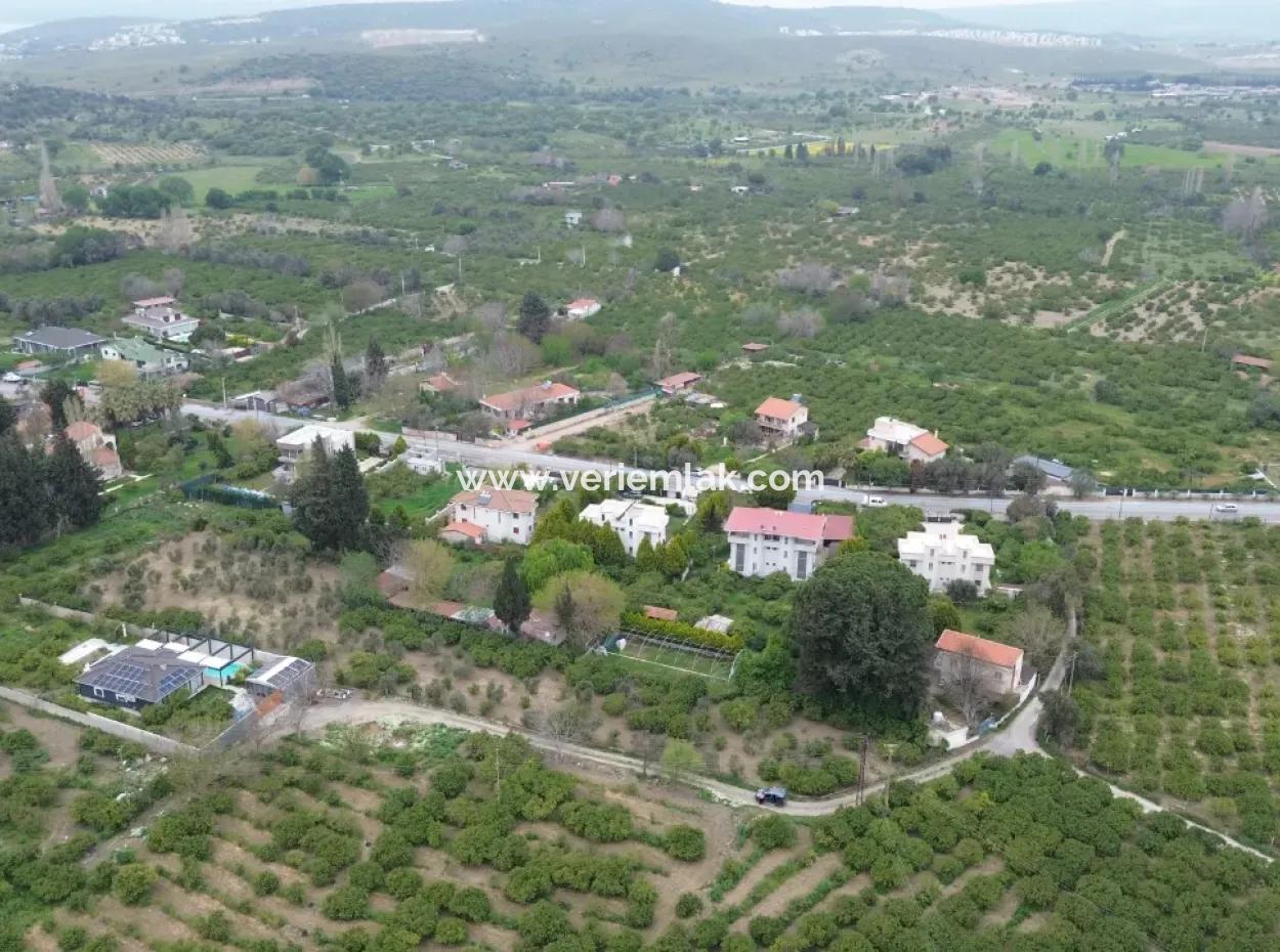 3 Separate Title Deeds In Sığacık From Veri Naranciye Garden For Sale!