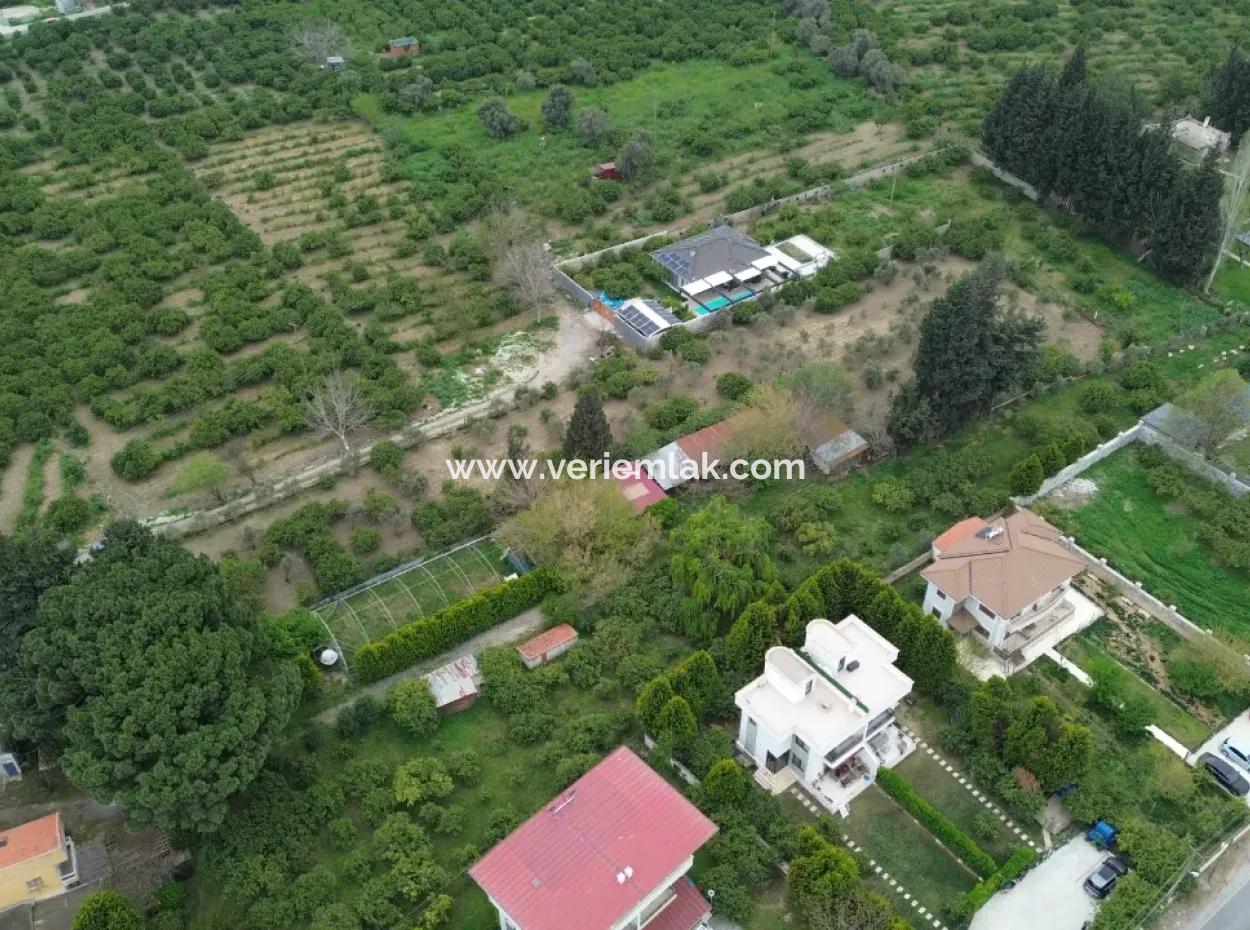 3 Separate Title Deeds In Sığacık From Veri Naranciye Garden For Sale!