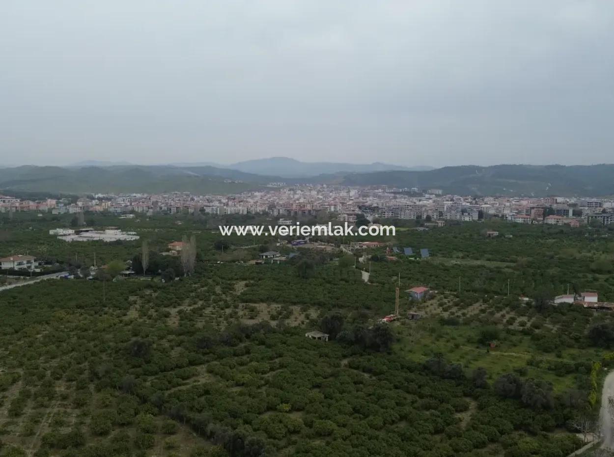 3 Separate Title Deeds In Sığacık From Veri Naranciye Garden For Sale!