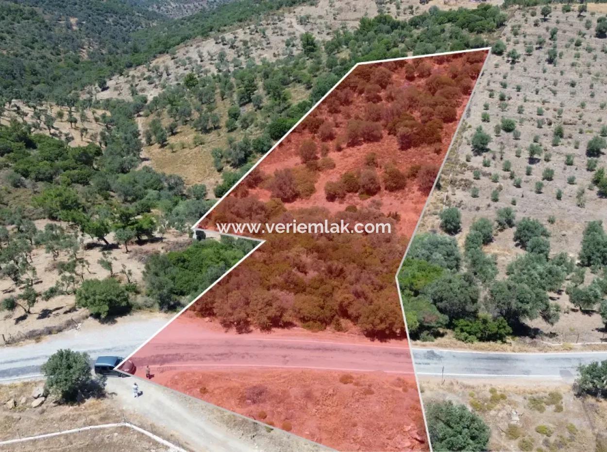 11.800 M² Land For Sale With Main Road Frontage On Seferihisar State Hospital | Unique Opportunity For Investment