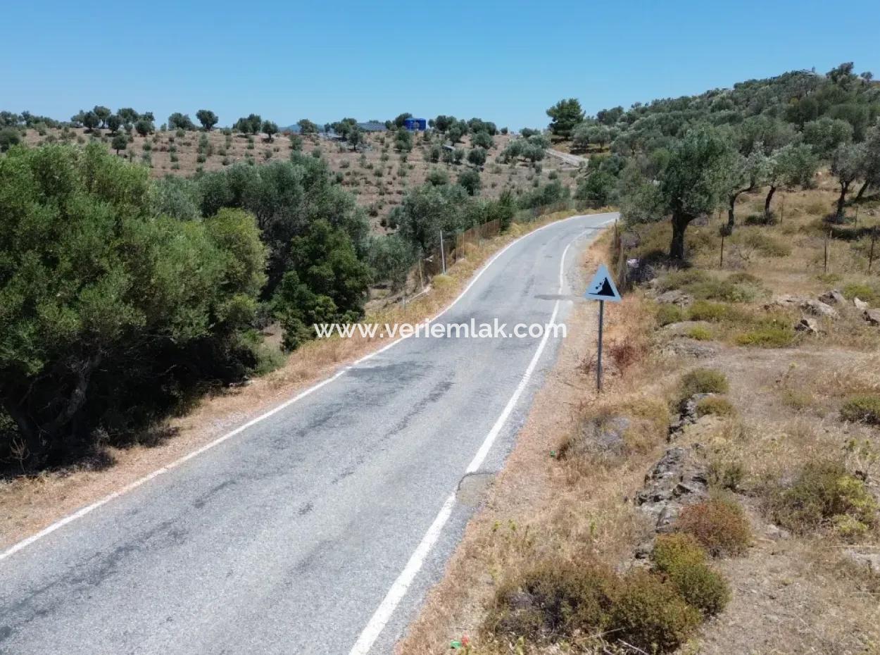 11.800 M² Land For Sale With Main Road Frontage On Seferihisar State Hospital | Unique Opportunity For Investment