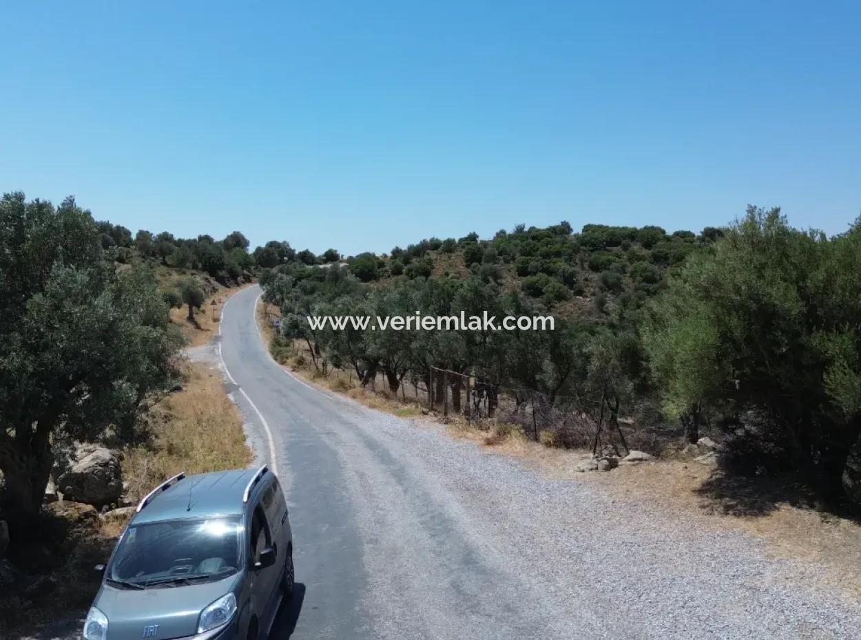 11.800 M² Land For Sale With Main Road Frontage On Seferihisar State Hospital | Unique Opportunity For Investment