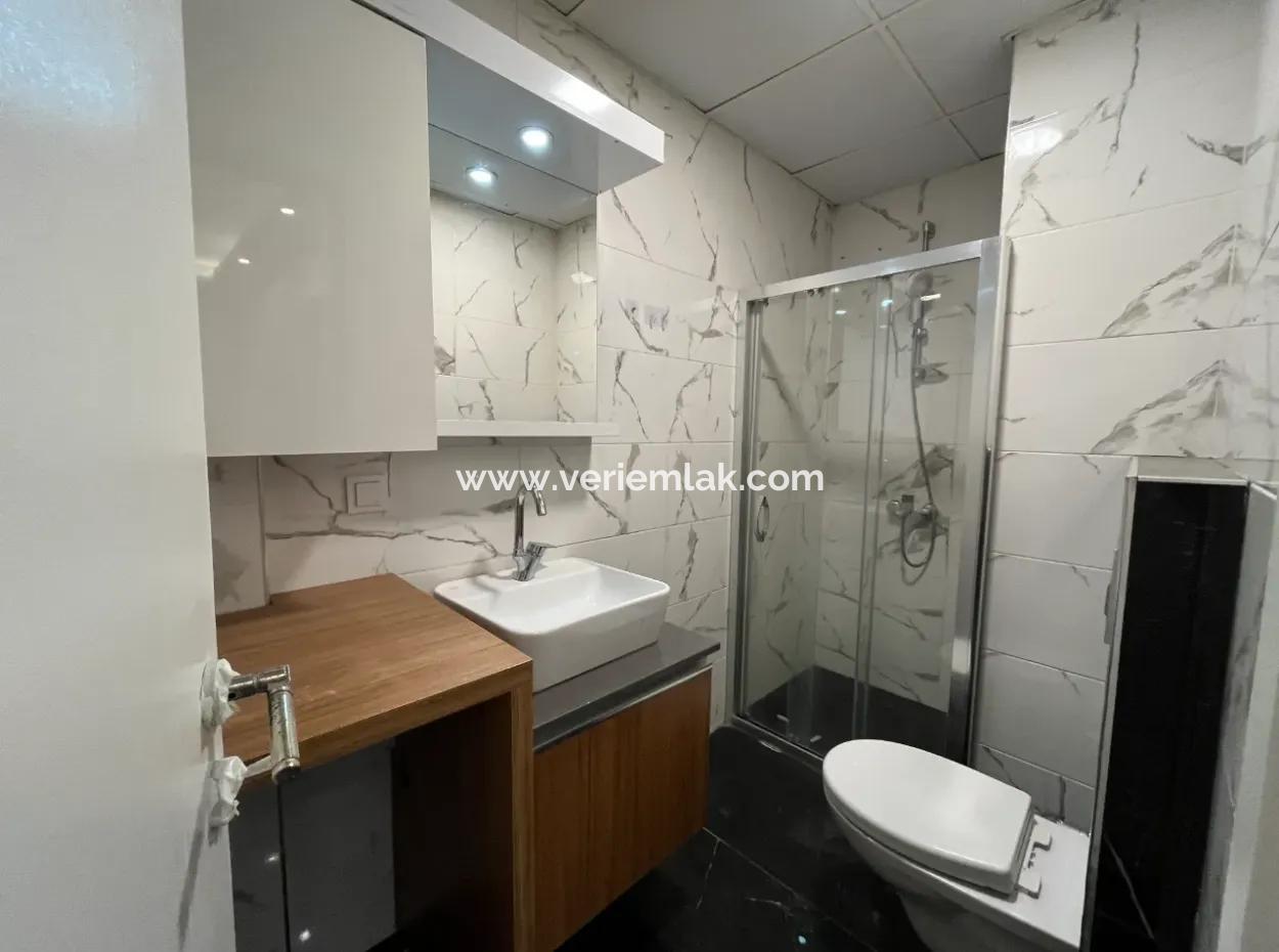 Comfortable And Convenient 2 1 Apartments For Rent In The City Center
