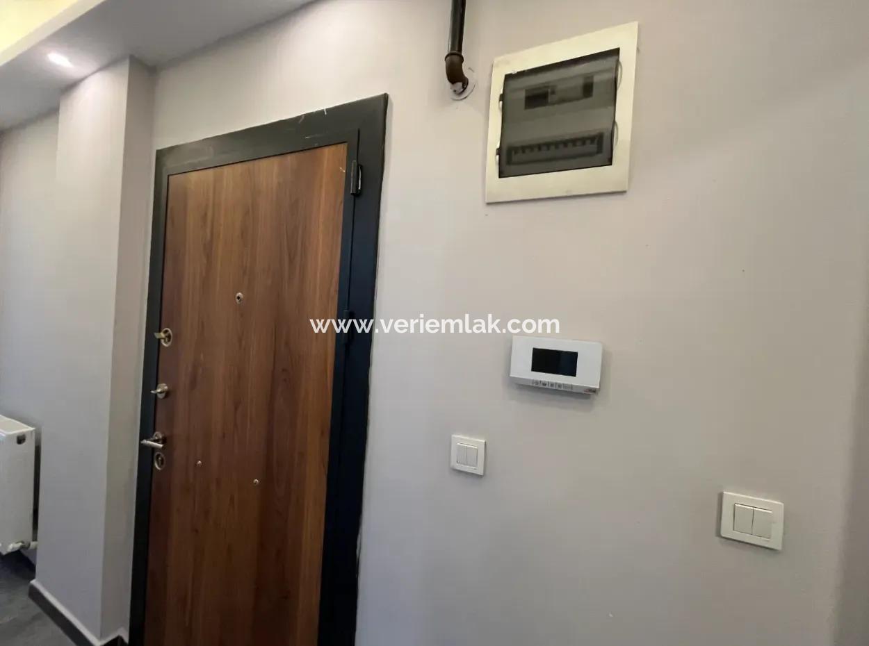 Comfortable And Convenient 2 1 Apartments For Rent In The City Center