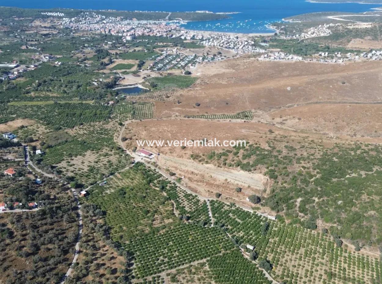 12.901 M² Tangerine Garden In Seferihisar Sığacık Taşdibi Area