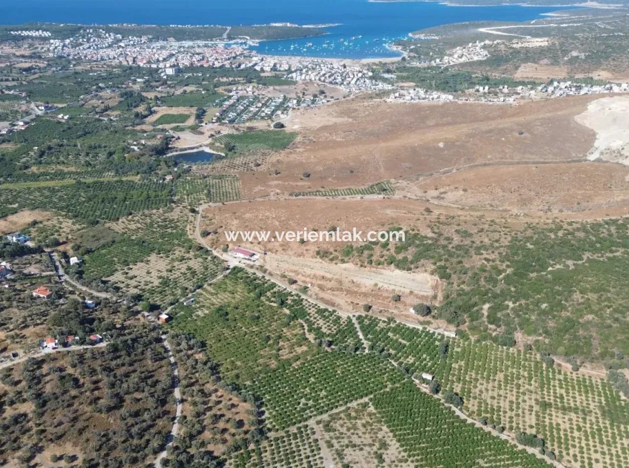 12.901 M² Tangerine Garden In Seferihisar Sığacık Taşdibi Area