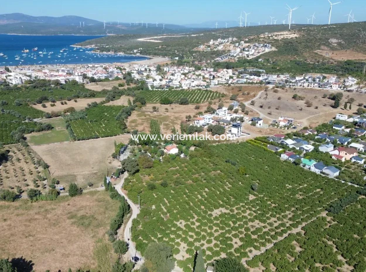 6.474 M² Tangerine Orchard In Seferihisar Siğacik Karagöl – Taşdibi Locality