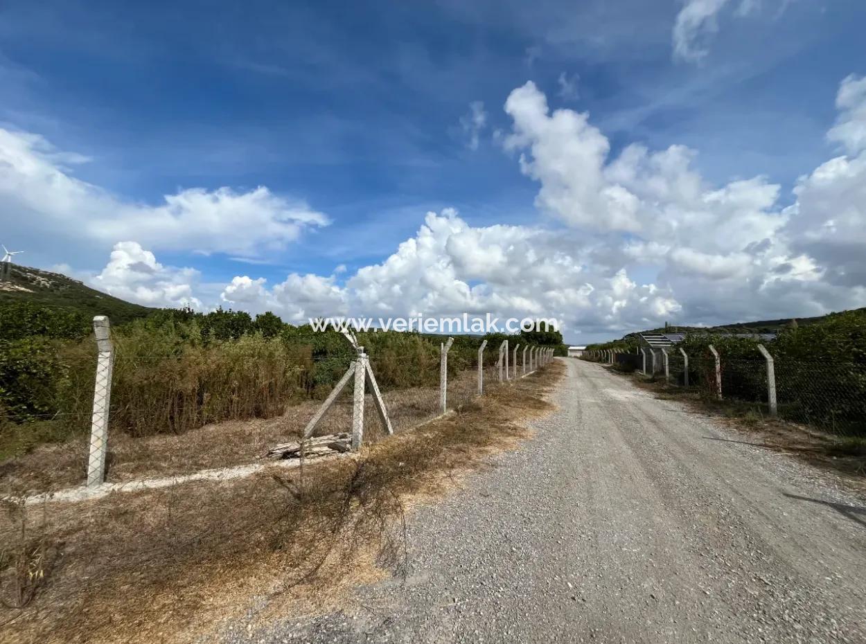 For Sale In Seferihisar Düzce 2.628,64 M² Tangerine Grove