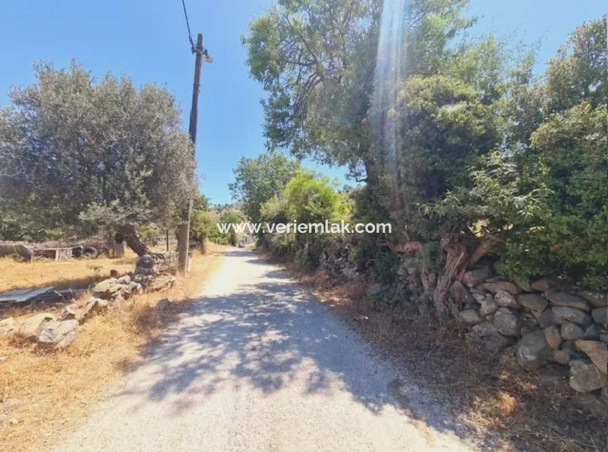 1000M2 Zoned Land In Seferihisar Ulamış