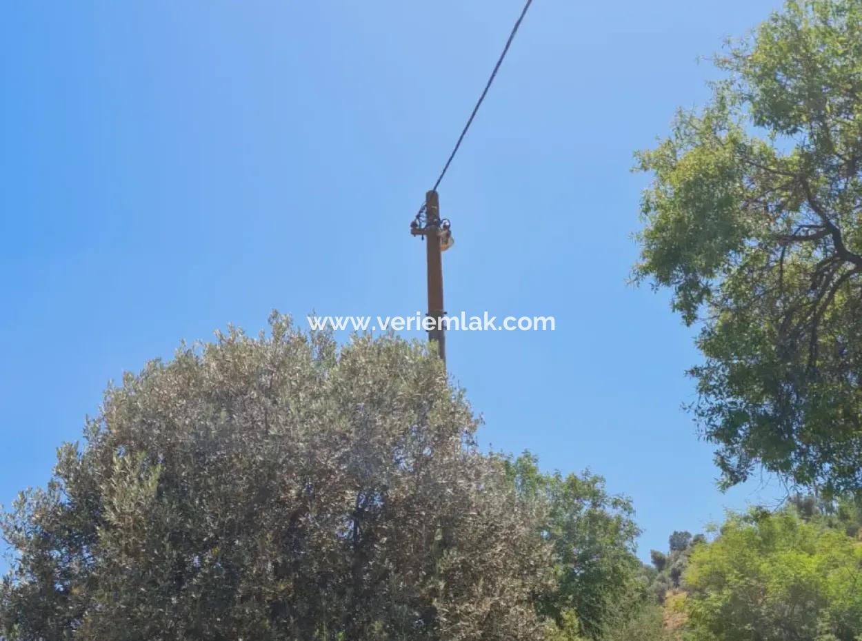 1000M2 Zoned Land In Seferihisar Ulamış