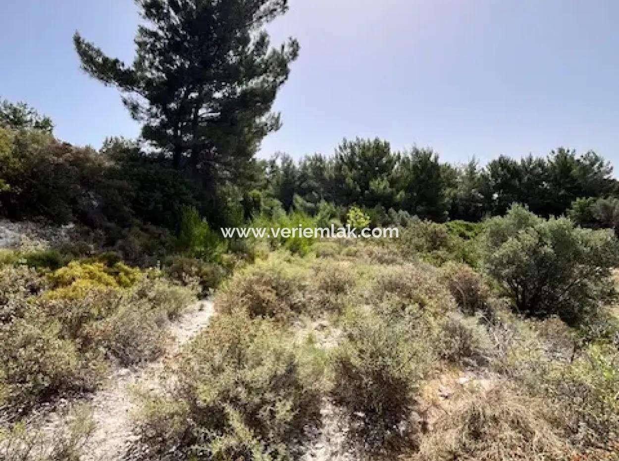 20 Acres Of Land Close To Zoning On Uzbek Road In Urla Rustam