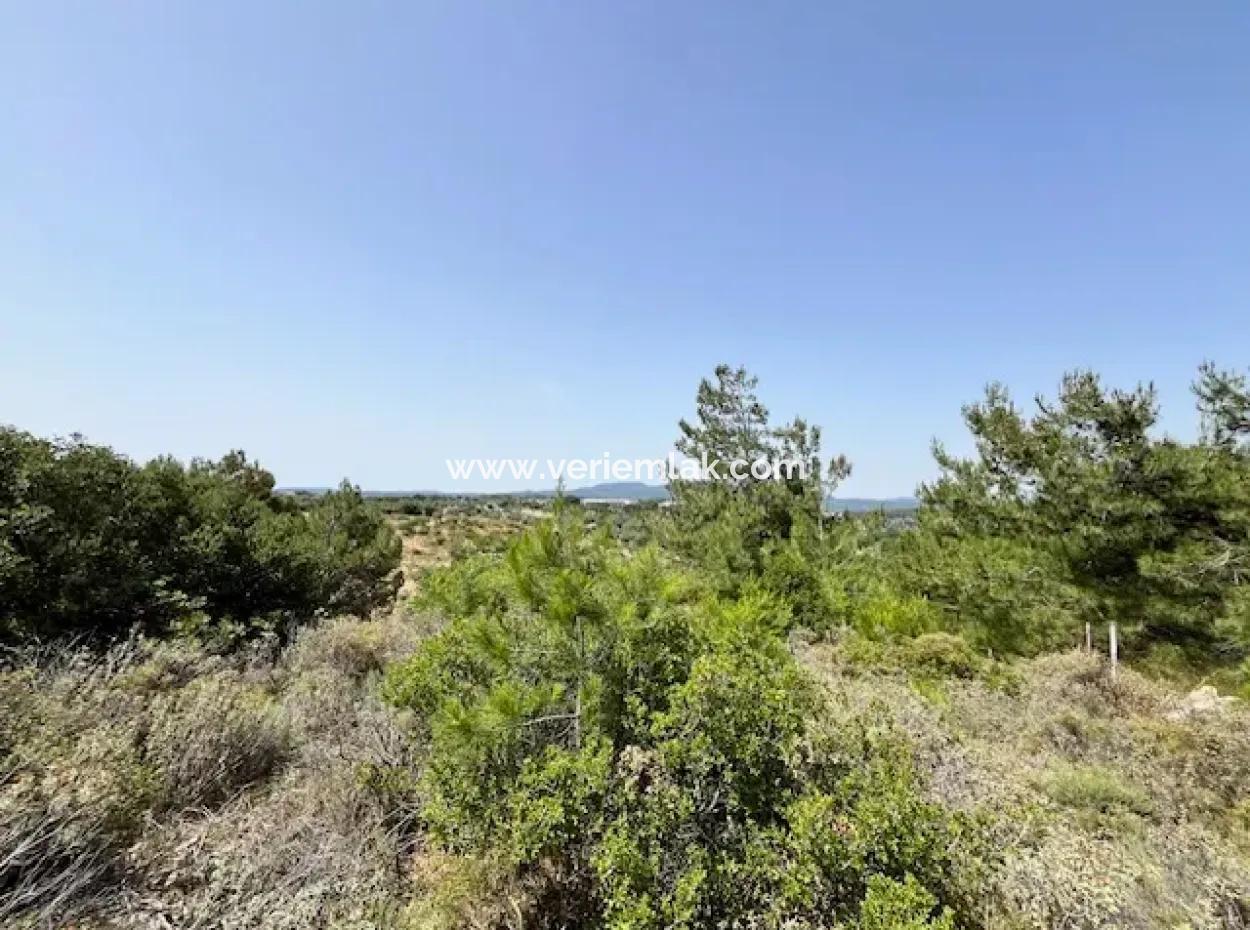 20 Acres Of Land Close To Zoning On Uzbek Road In Urla Rustam