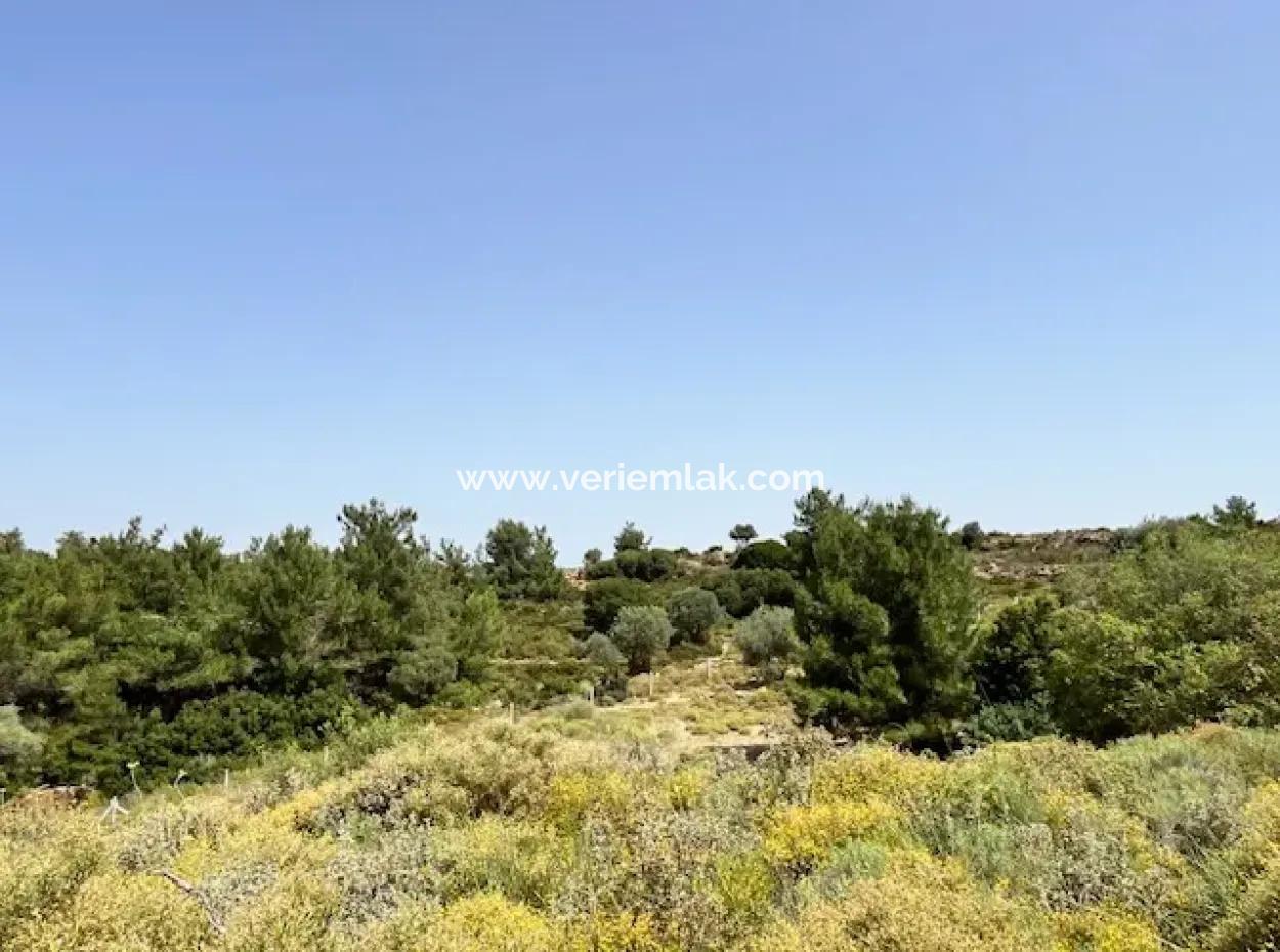 20 Acres Of Land Close To Zoning On Uzbek Road In Urla Rustam