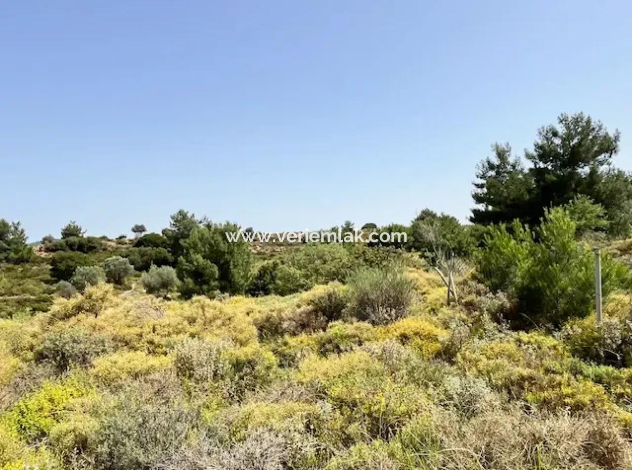 20 Acres Of Land Close To Zoning On Uzbek Road In Urla Rustam