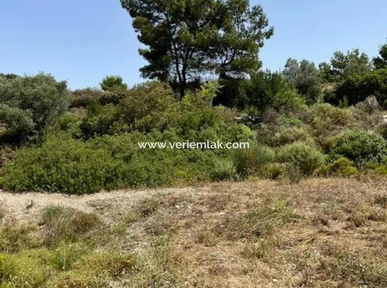 20 Acres Of Land Close To Zoning On Uzbek Road In Urla Rustam