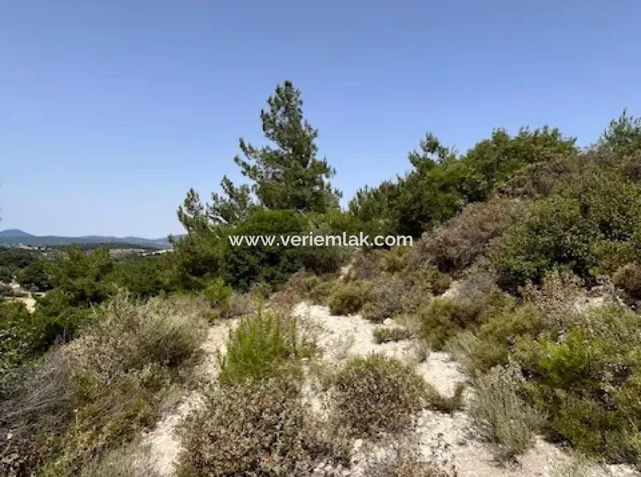 20 Acres Of Land Close To Zoning On Uzbek Road In Urla Rustam
