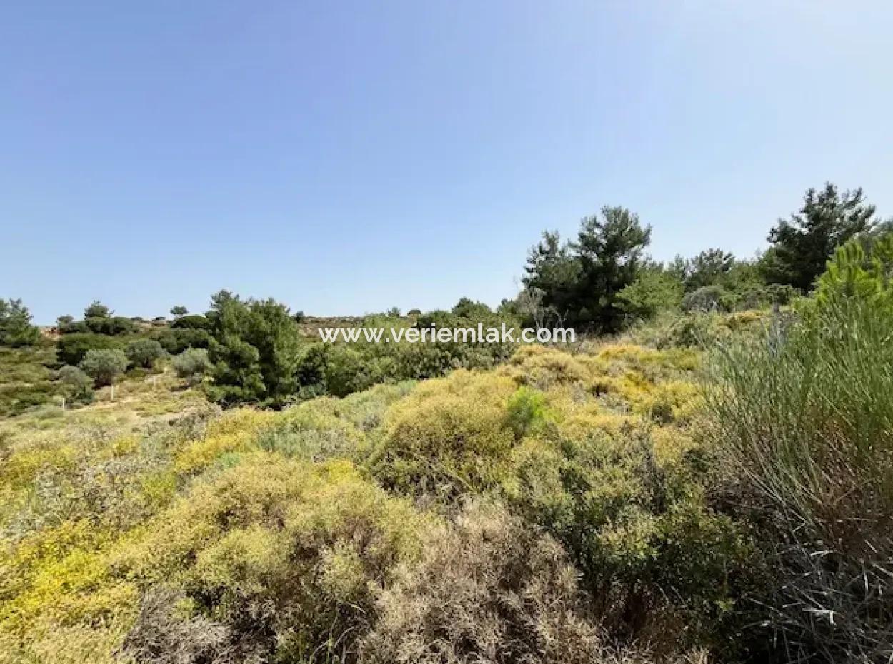 20 Acres Of Land Close To Zoning On Uzbek Road In Urla Rustam