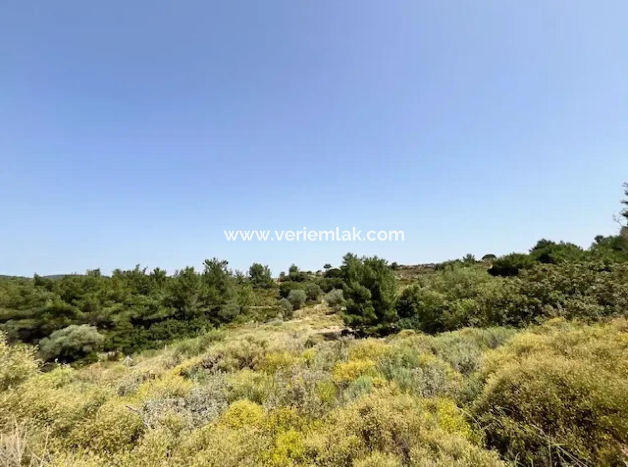 20 Acres Of Land Close To Zoning On Uzbek Road In Urla Rustam