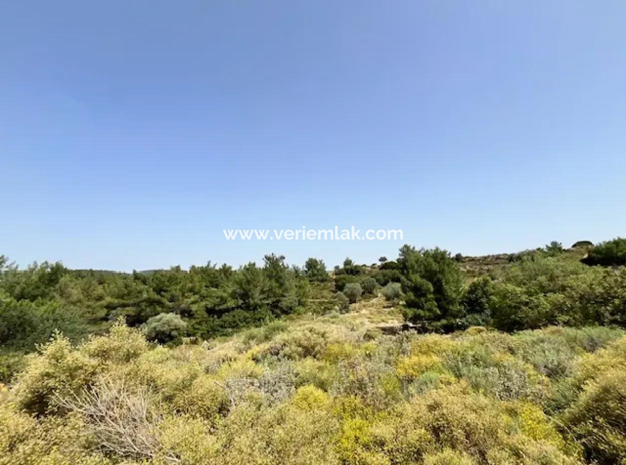 20 Acres Of Land Close To Zoning On Uzbek Road In Urla Rustam