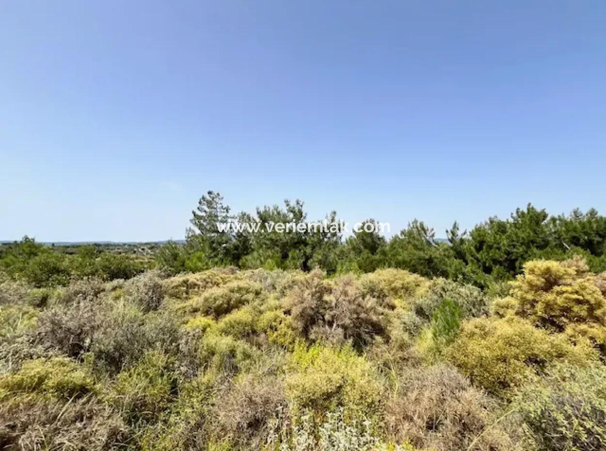 20 Acres Of Land Close To Zoning On Uzbek Road In Urla Rustam