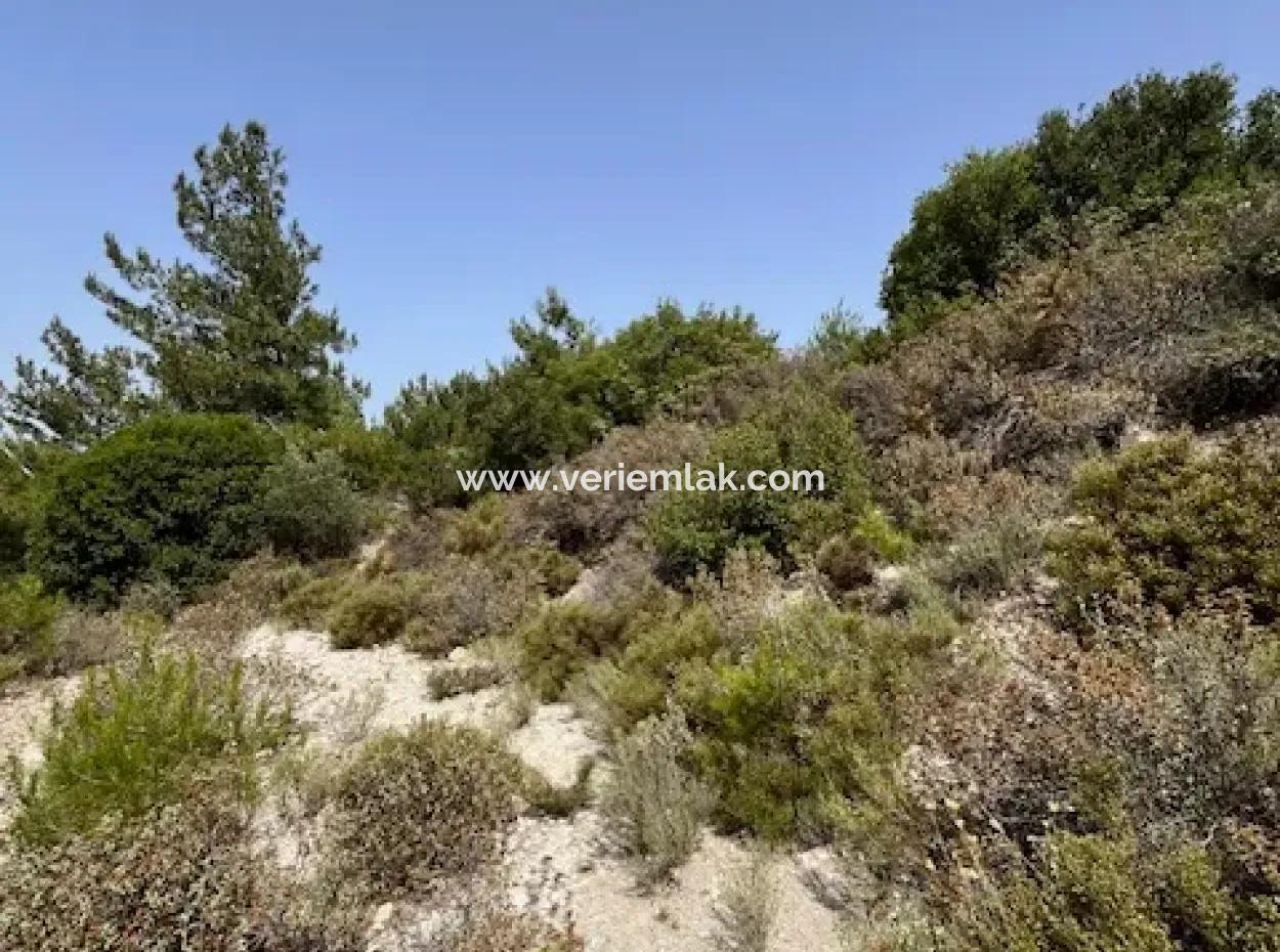 20 Acres Of Land Close To Zoning On Uzbek Road In Urla Rustam