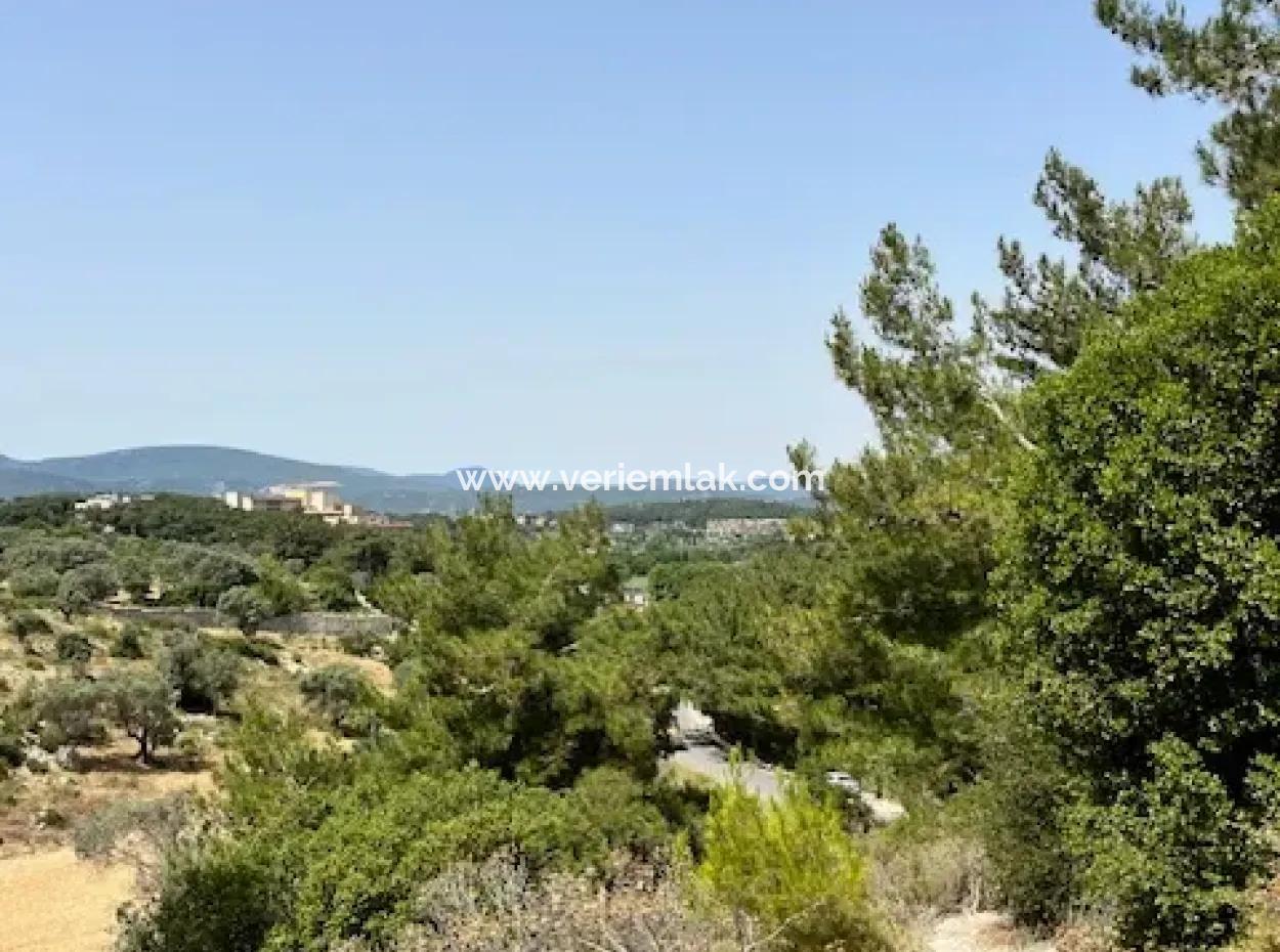 20 Acres Of Land Close To Zoning On Uzbek Road In Urla Rustam